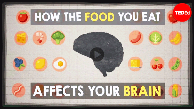 چگونه غذاها بر مغز ما اثر می‌گذارند؟